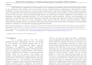 write human written SEO content and articles
